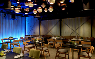 hotel palomar la restaurant dining room with numerous black and white circular lighting fixtures hanging from the ceiling