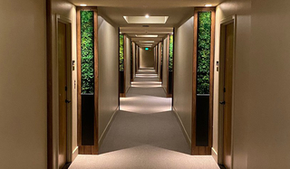 1 hotel sf corridor hallway with moss art on each signage panel at the doors
